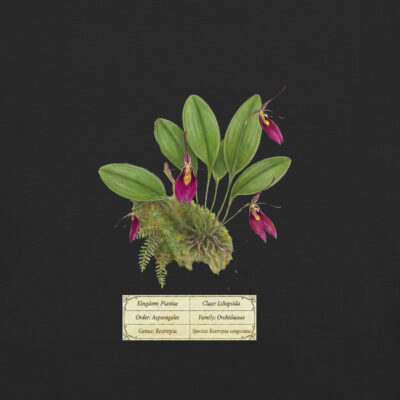 Restrepia sanguinea –  Botanical Orchid T-Shirt | Scientific Illustration | Premium Cotton