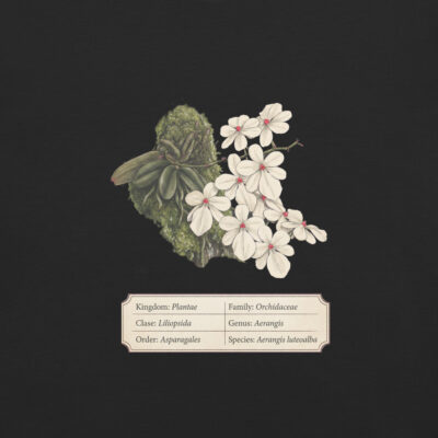 Botanical Orchid T-Shirt Aerangis luteoalba – Scientific Illustration | Premium Cotton | Orchid Lover Gift