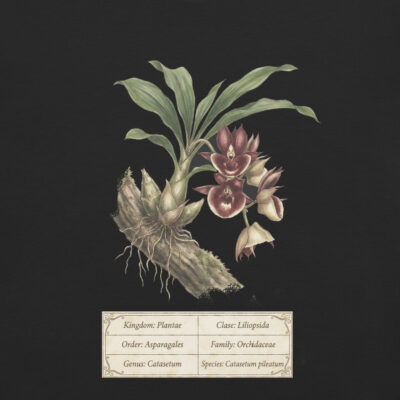 Catasetum pileatum – Heritage Vintage Botanical Orchid T-Shirt | Scientific Illustration | Premium Cotton | Orchid Lover Gift