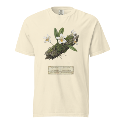 Ticoglossum oerstedii - Heritage Vintage Botanical Orchid T-Shirt | Scientific Illustration | Premium Cotton | Orchid Lover Gift