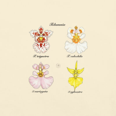 Tolumnia I - T-Shirt | Vintage Botanical Orchid | Scientific Illustration | Premium Cotton | Orchid Gift