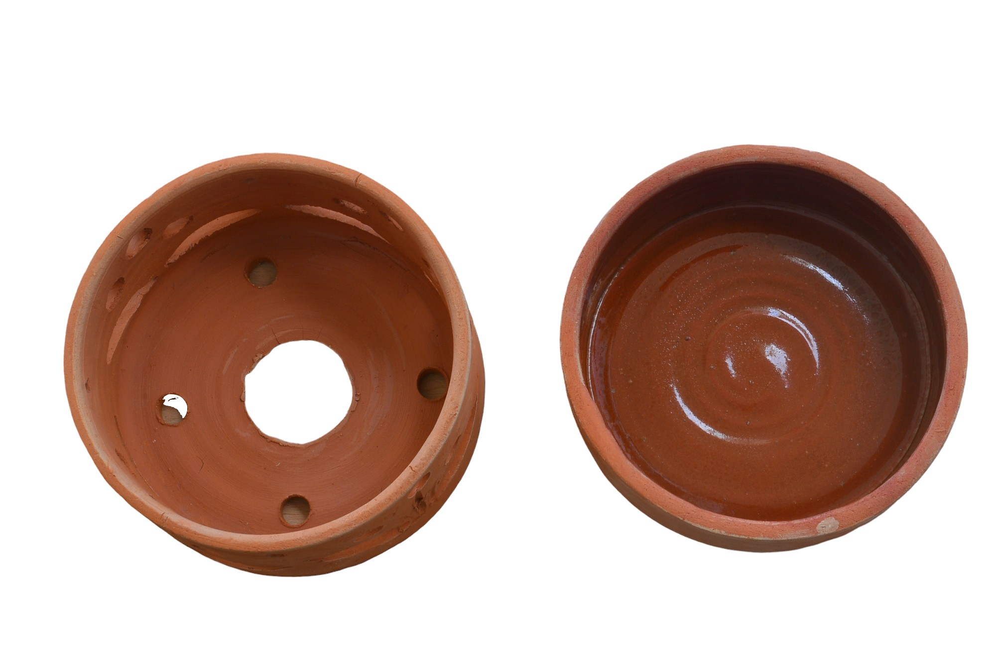 Terracotta Pots Cattleya and Epiphytic Orchids - Image 29