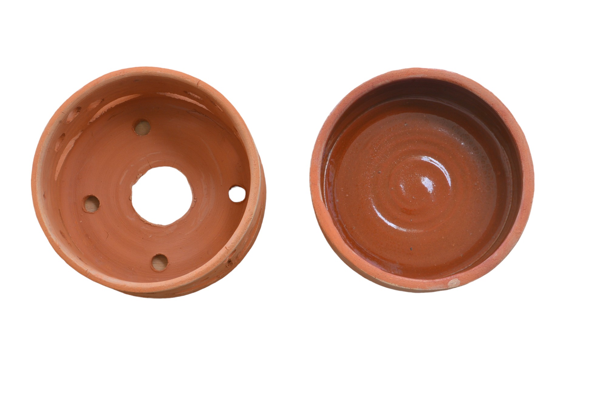 Terracotta Pots Cattleya and Epiphytic Orchids - Image 28