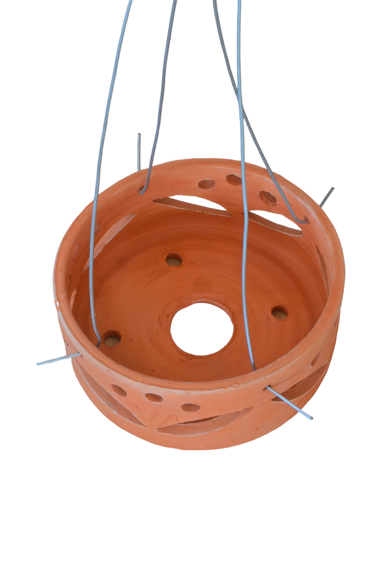 Terracotta Pots Cattleya and Epiphytic Orchids - Image 22