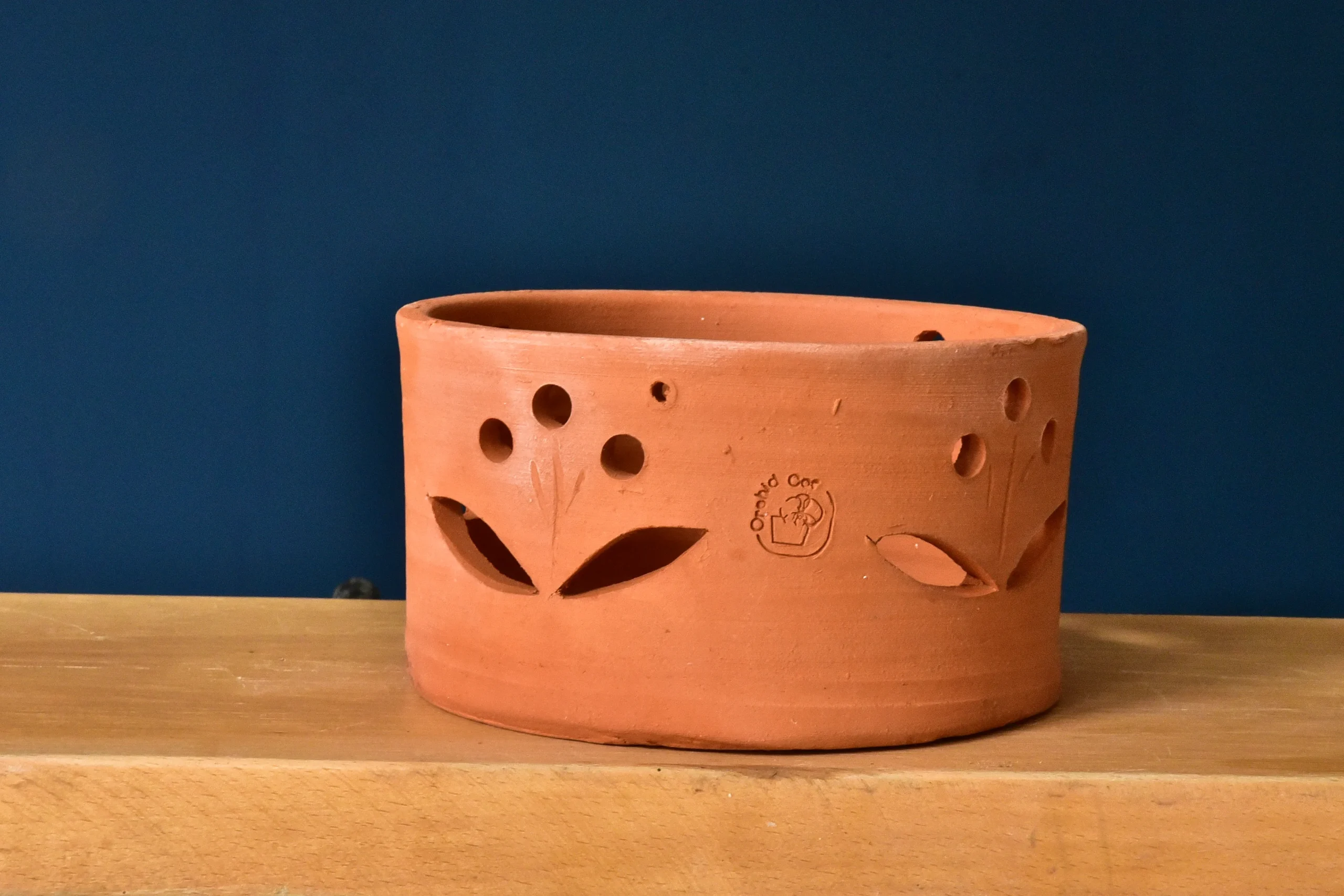 Terracotta Pots Cattleya and Epiphytic Orchids - Image 9