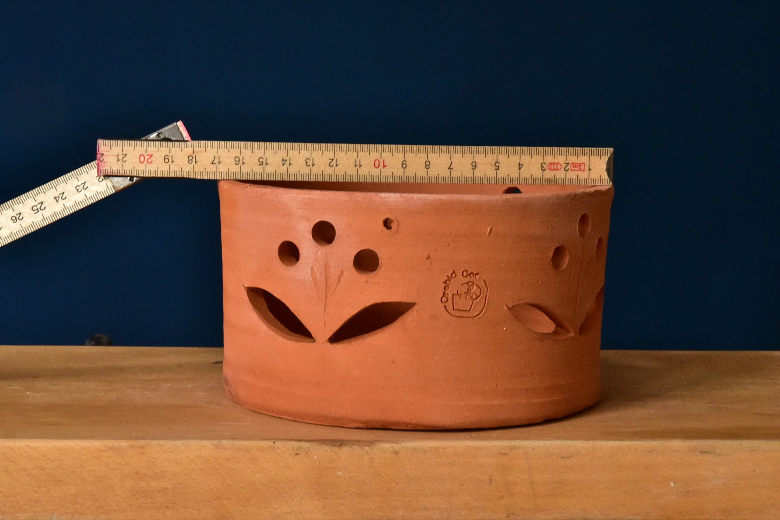 Terracotta Pots Cattleya and Epiphytic Orchids - Image 10