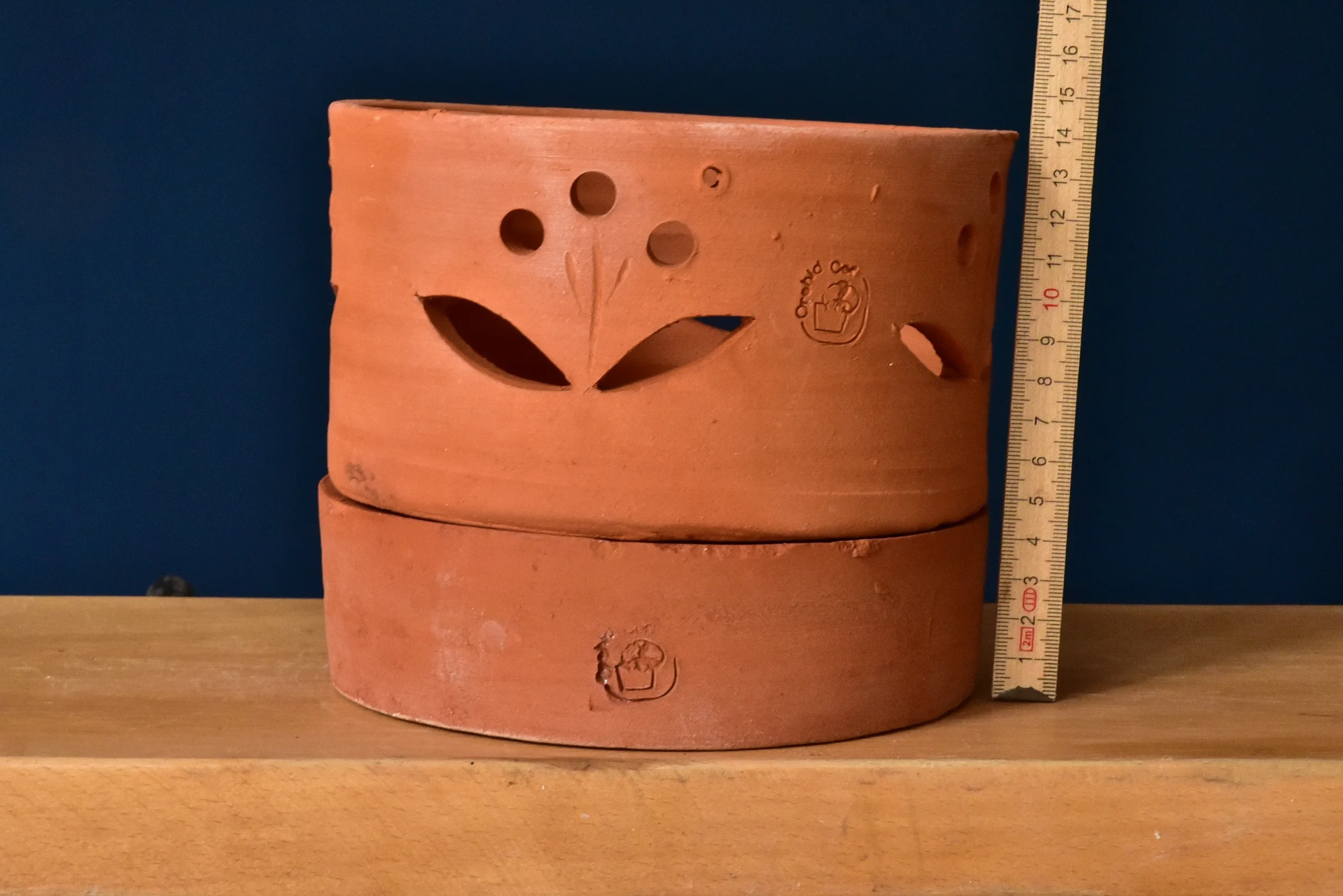 Terracotta Pots Cattleya and Epiphytic Orchids - Image 11