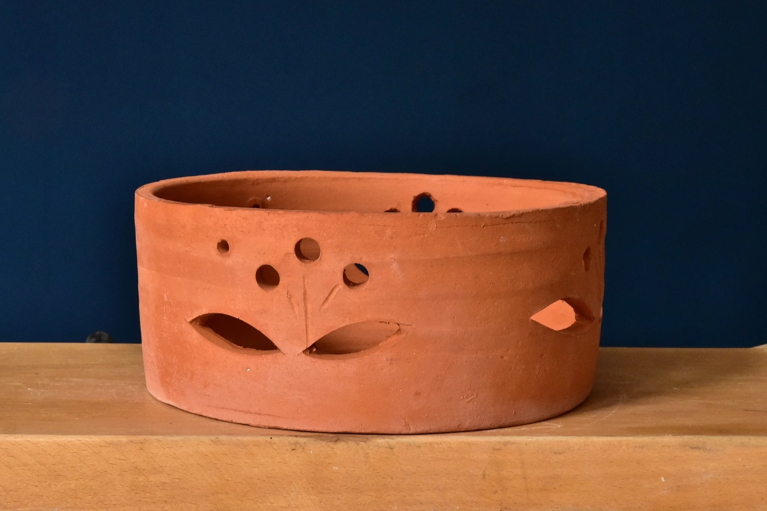 Terracotta Pots Cattleya and Epiphytic Orchids - Image 12