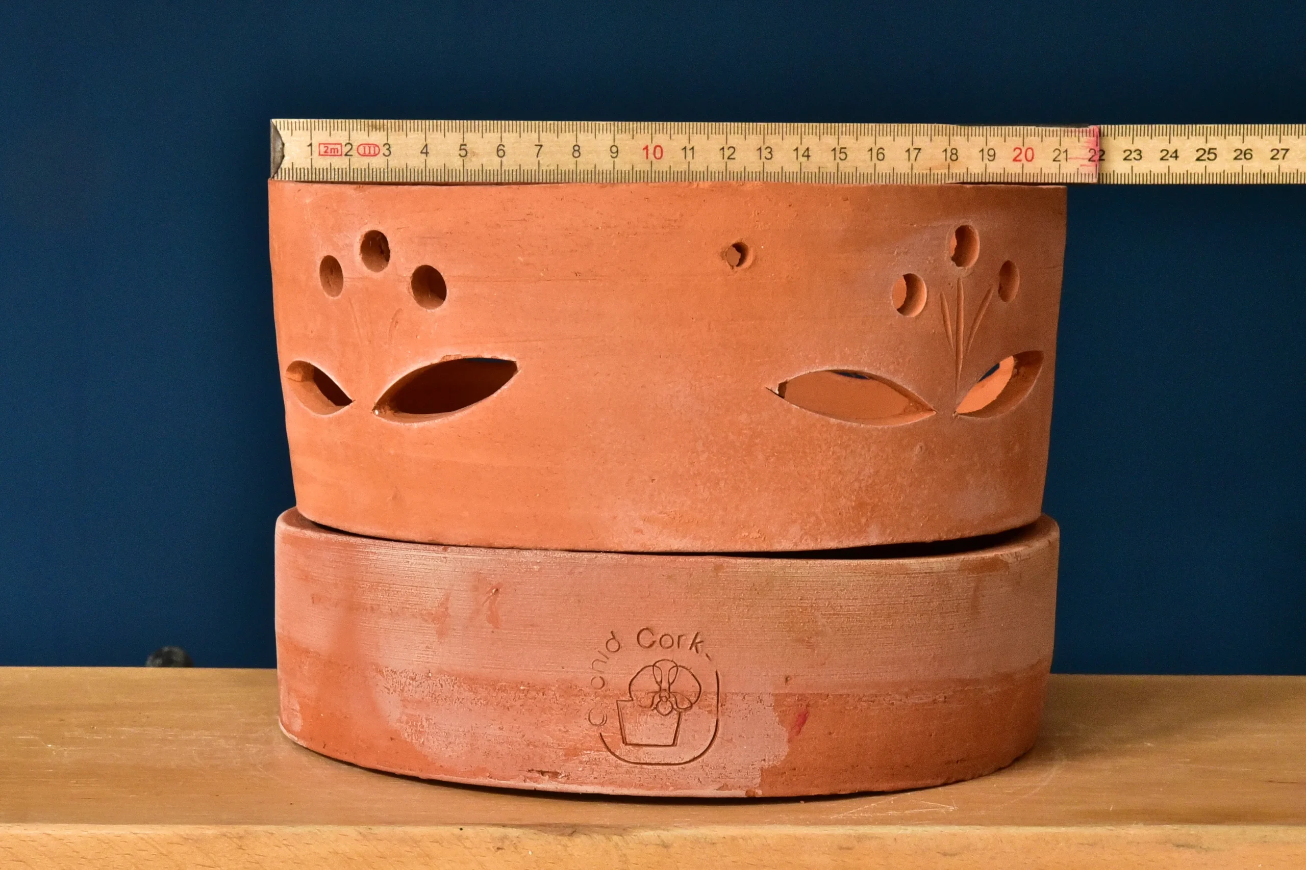 Terracotta Pots Cattleya and Epiphytic Orchids - Image 14