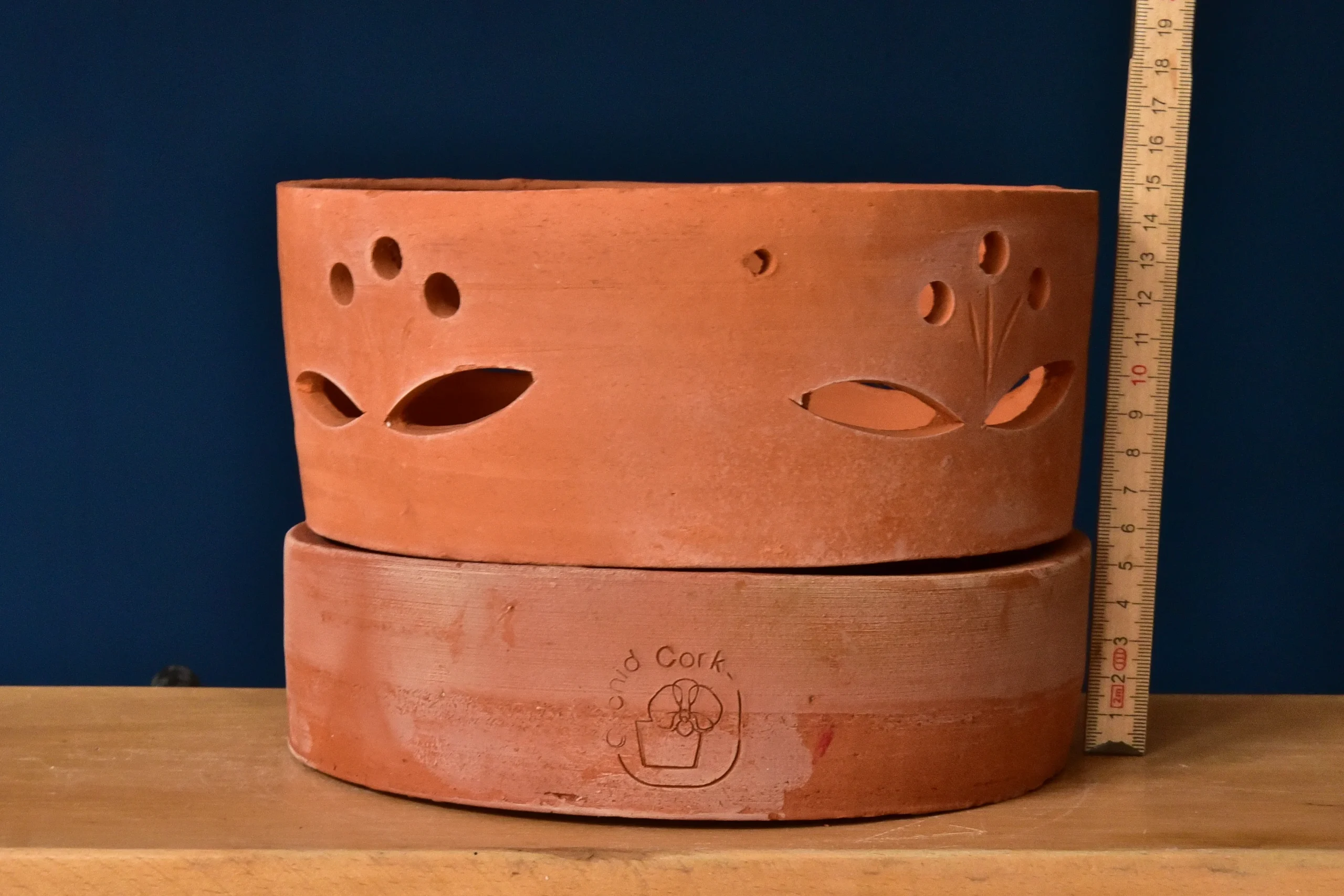 Terracotta Pots Cattleya and Epiphytic Orchids - Image 15