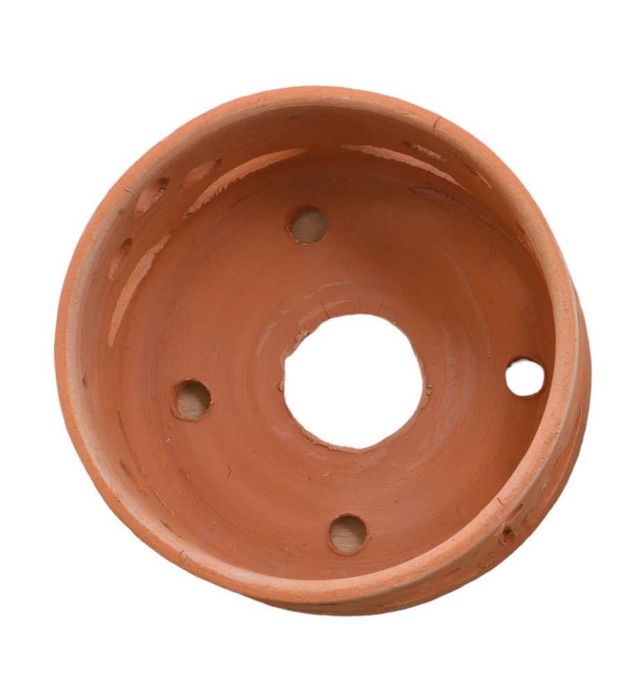 Terracotta Pots Cattleya and Epiphytic Orchids - Image 27