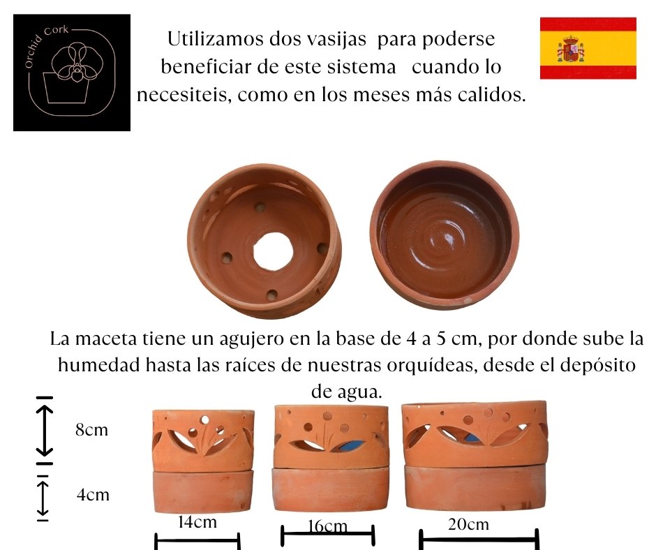 Terracotta Pots Cattleya and Epiphytic Orchids - Image 17