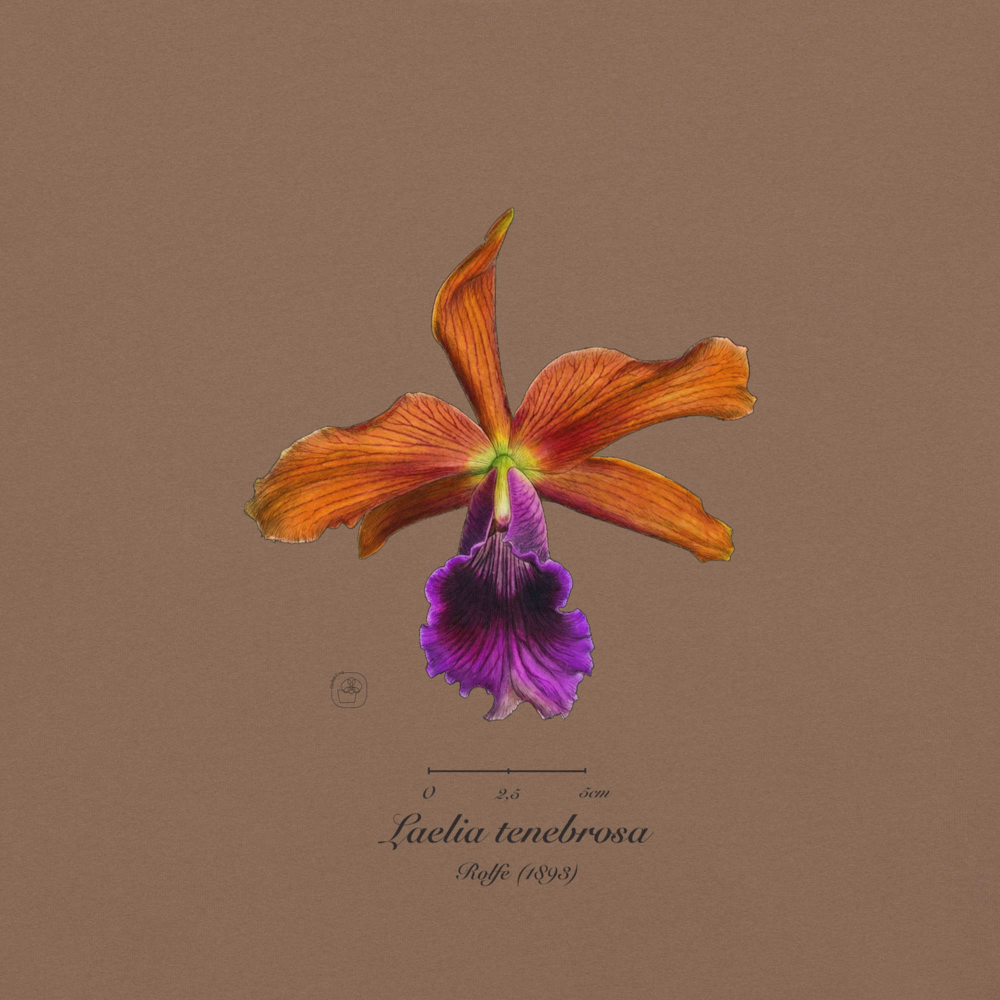 Laelia tenebrosa close โ Heritage T-Shirt | Vintage Botanical Orchid | Scientific Illustration | Premium Cotton | Orchid Gift - Image 8