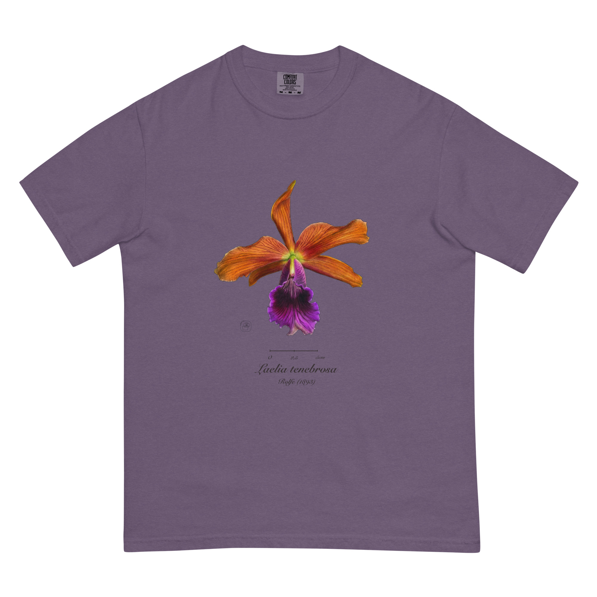 Laelia tenebrosa close โ Heritage T-Shirt | Vintage Botanical Orchid | Scientific Illustration | Premium Cotton | Orchid Gift - Image 12