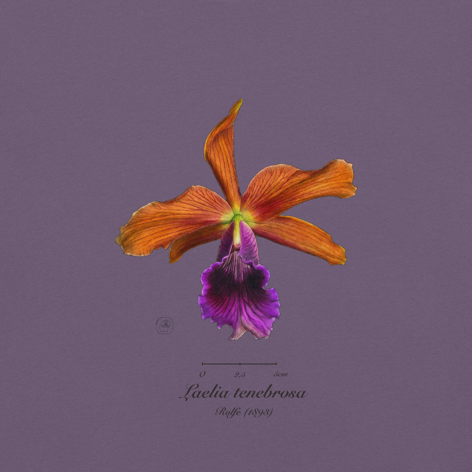 Laelia tenebrosa close โ Heritage T-Shirt | Vintage Botanical Orchid | Scientific Illustration | Premium Cotton | Orchid Gift - Image 11