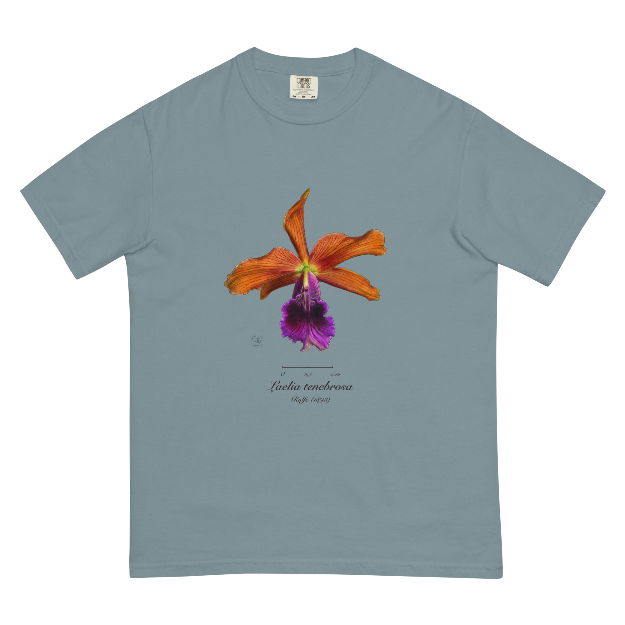 Laelia tenebrosa close โ Heritage T-Shirt | Vintage Botanical Orchid | Scientific Illustration | Premium Cotton | Orchid Gift - Image 15