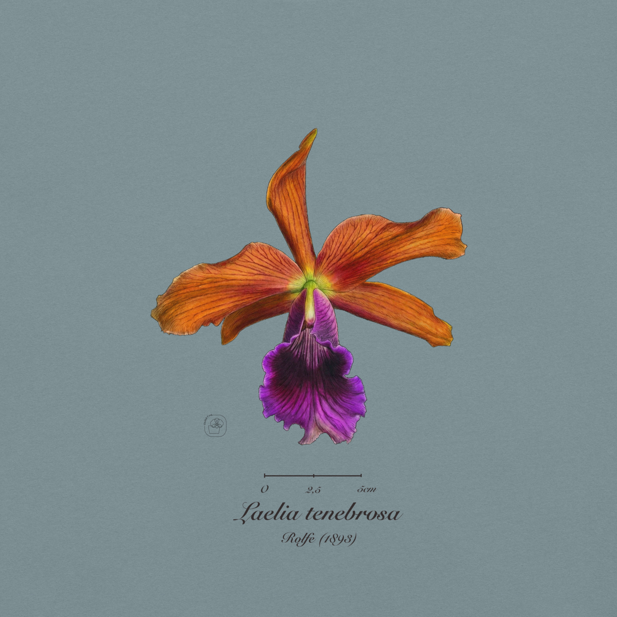 Laelia tenebrosa close โ Heritage T-Shirt | Vintage Botanical Orchid | Scientific Illustration | Premium Cotton | Orchid Gift - Image 14