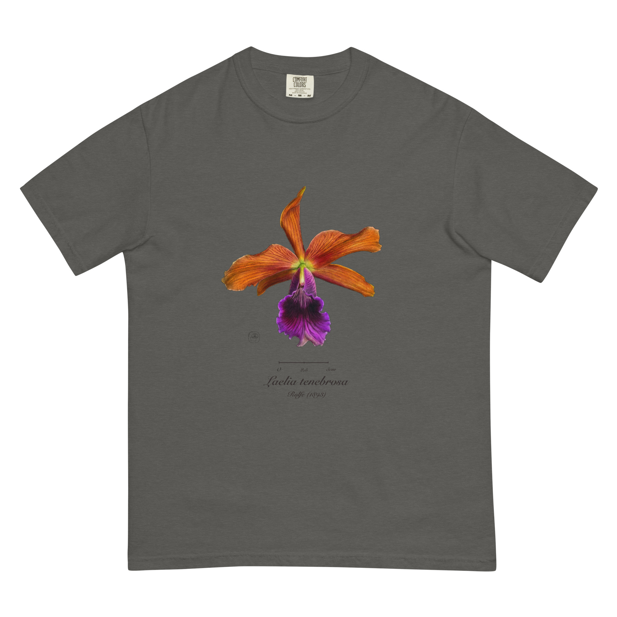 Laelia tenebrosa close โ Heritage T-Shirt | Vintage Botanical Orchid | Scientific Illustration | Premium Cotton | Orchid Gift - Image 24