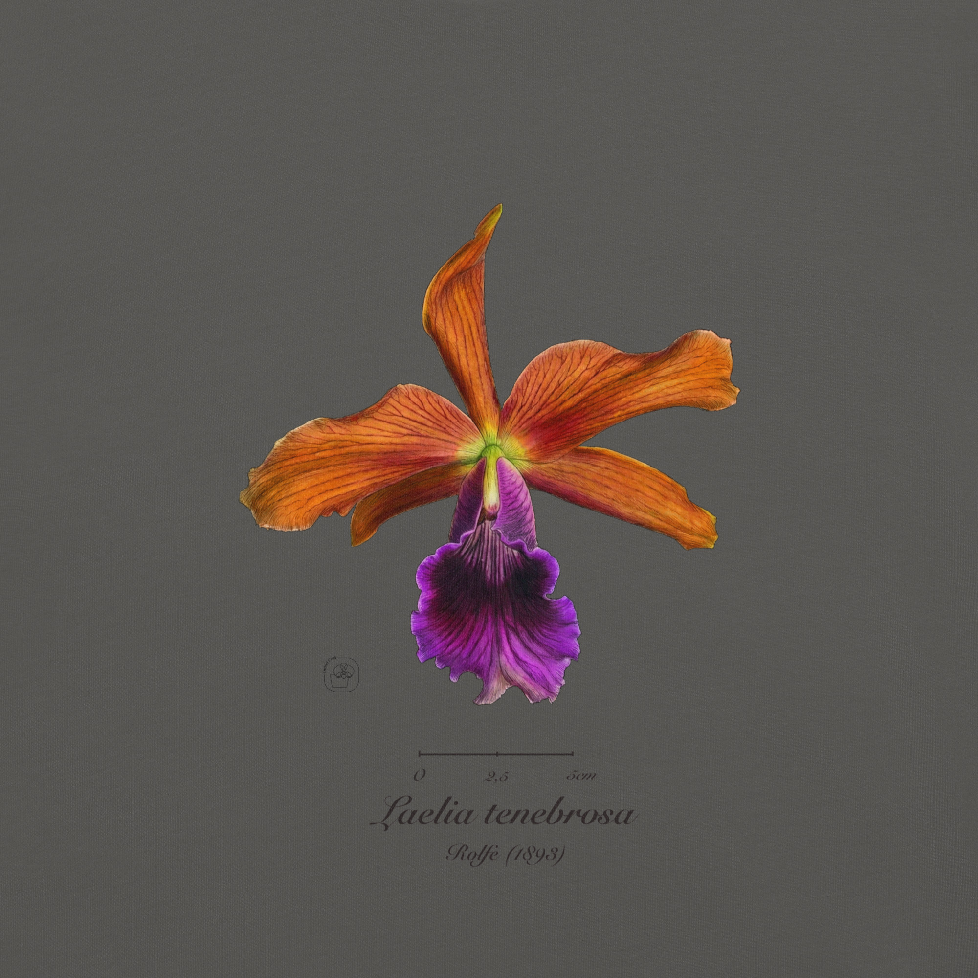 Laelia tenebrosa close โ Heritage T-Shirt | Vintage Botanical Orchid | Scientific Illustration | Premium Cotton | Orchid Gift - Image 23