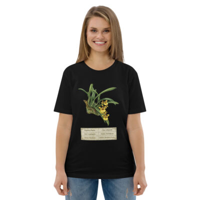 Oncidium croesus Botanical Orchid T-Shirt | Premium Organic Cotton | Scientific Botanical Illustration | Plant Lover Gift | Sustainable Fashion2