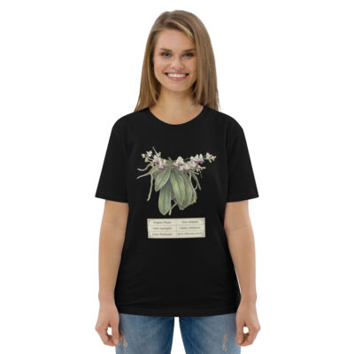 Phalaenopsis parishii Botanical Orchid T-Shirt | Premium Organic Cotton | Scientific Botanical Illustration | Plant Lover Gift | Sustainable Fashion